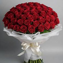 Букет 101 Красная роза Блэк Мэджик #REPLACE_PRED# Передовой