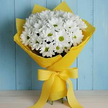 Букет цветов из:  Хризантемы в Передовой