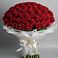 Букет 101 Красная роза Блэк Мэджик в Передовой