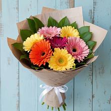 Букет цветов из:  Герберы #REPLACE_PRED# Передовой