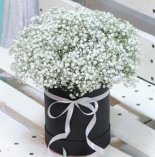 Цветочная композиция из Гипсофила в шляпной коробке #REPLACE_PRED# Передовой