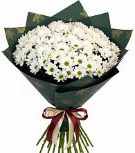 Букет цветов из:  Хризантемы в Передовой