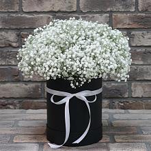 Цветочная композиция из Гипсофила в шляпной коробке #REPLACE_PRED# Передовой