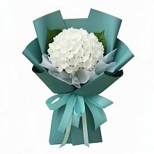 Букет цветов из:  Гортензия в Передовой